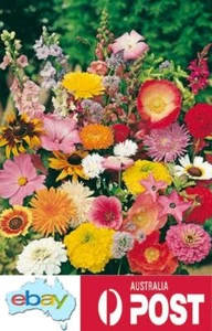 Cottage Garden Mixed Flower Seeds – Mixed Varieties - Picture 1 of 4