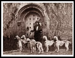 AFGHAN HOUND LADY DOGS VINTAGE STYLE A4 DOG PHOTO POSTER PRINT - Foto 1 di 1