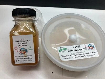 Живой корм для мальков рыб - 4 унц уксус угри + 4 унц микрочерви - Изображение 1 из 4