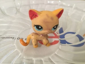 Little Petshop 100 % authentisch SELTEN LPS Scuffy Kätzchen Kinder Spielzeug Hobbys Spiele - Bild 1 von 6