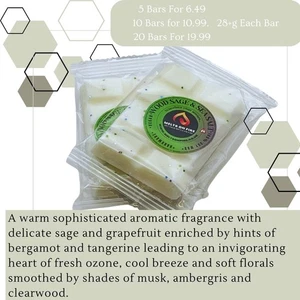 Barras a presión de cera derretida madera salvia y sal marina altamente perfumadas 28+g cada una vegana. - Imagen 1 de 2