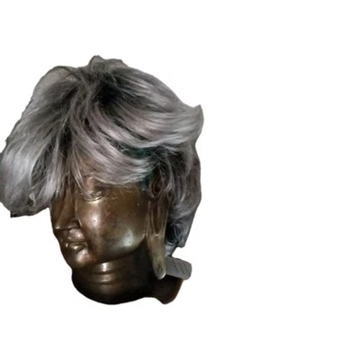 Peluca Paula Young DANCE Whisperlite Corta Suave Peltre 56-1B Talla A Con Etiquetas SIN Caja Foto 1 de 4