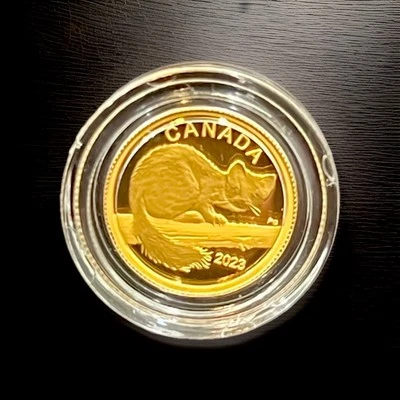 2023🔥1.58g Canadian Curious Marten Proof 1/20 oz. Gold Coin .9999 Fine💎Box/CoA - Image 1 of 4