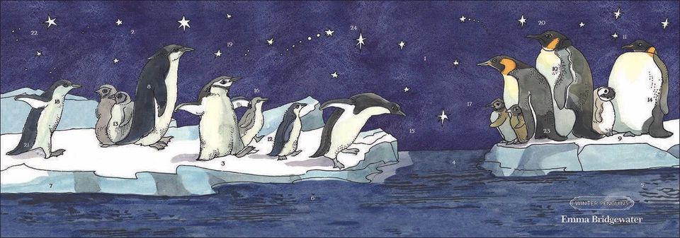 Winter Penguins Emma Bridgewater 3D ADVENT Calendar 538 x 245 mm  - Image 1 of 1