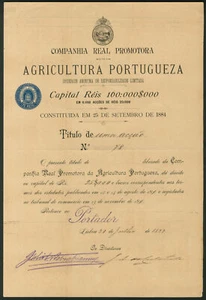 Portugal: Emprêsa do Anuário Comercial, 10 Aktien, 1922 - Bild 1 von 1