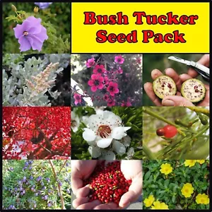BUSH TUCKER SEED PACK,NATIVE FOOD GARDEN,SURVIVAL FOOD ACACIA SHRUB FRUIT TREES - Picture 1 of 12