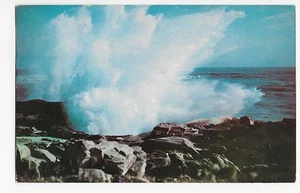 Vintage Postcard Quonochontaug Rhode Island RI Greetings - Picture 1 of 4
