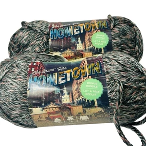 Lion Brand Yarn Hometown Bonus Bundle Salem Creek Lot 2 Skeins 8 oz Each - Picture 1 of 7
