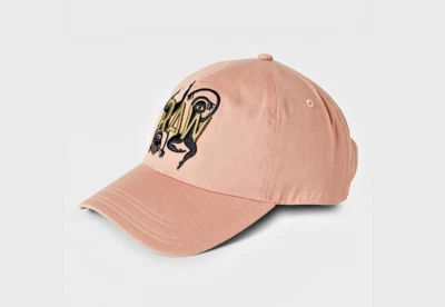 NEW G-STAR RAW AVERNUS AW BASEBALL CAP- TUSCANY ONE SIZE MSRP $45 - Image 1 of 4