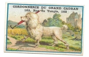 Hund Pudel - - Chromo Cordonnerie du Grand Cadran - Handelskarte - Bild 1 von 2