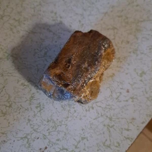😍😍TOP QAULITY COLORADO PETRIFIED FOSSIL AGATIZED TREE COLORADO 11.7 OZ❤️❤️ - Picture 1 of 5