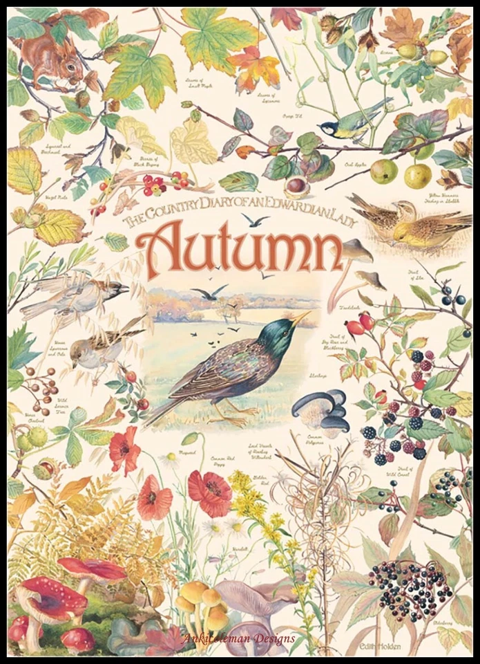ANKICOLEMAN DESIGNS Country Diary Autumn - Chart Counted Cross Stitch Patterns Needlework DIY DMC