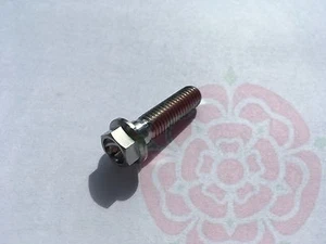 M8 x 30mm Titanium Hex Head Flange Bolt DIN6921 GR5 Grade 5 Quality - Picture 1 of 1
