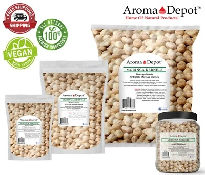 Semillas de Granos de Semillas de Moringa oleifera Malunggay de Granos de Semillas de Moringa oleifera Foto 1 de 4