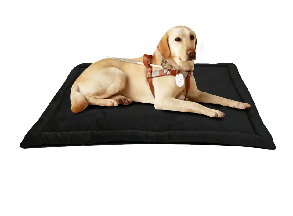 Warm Hundebett Hundematte Für Käfig Rutschfest Matratze Haustierbett Katzenbett - Bild 1 von 2