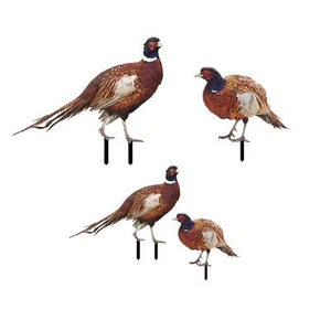 Pheasant Statue Gifts Decorative Crafts Easter Decor Easy to Use Yard Stake - Picture 1 of 22