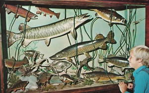 National Fresh Water Fishing Hall of Fame, Hayward, Wisconsin - Picture 1 of 3