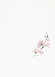Magnolia Rosa - Juego de muestra - Imagen 1 de 5
