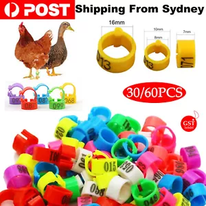 30/60X 001-030 Numbered 8/16mm Pet Poultry Goose Chicken Duck Leg Band Ring Clip - Picture 1 of 15