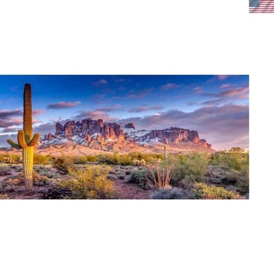 Lujoso fondo de fotografía de cactus al atardecer de Arizona 72x18 pulgadas - alta definición Foto 1 de 2