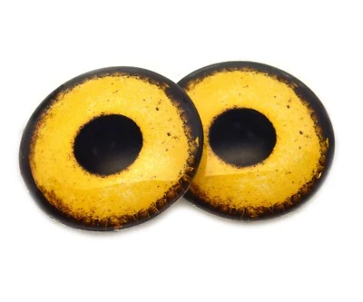 Par de cabujones de respaldo plano de taxidermia con ojos de vidrio inspirados en águila dorada Foto 1 de 4