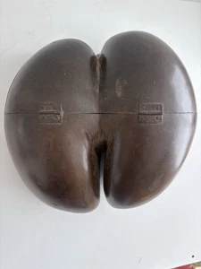 Antique Coco de mer Seychelles islands - Bild 1 von 15