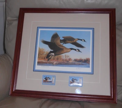 1989 Professionally Framed 2 Colorado Waterfowl Stamps With Bob Steiner Print - Image 1 of 4