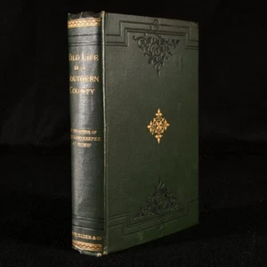 1879 Wild Life in a Southern County Richard Jefferies First Edition Publisher... - Imagen 1 de 7