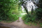 Photo 6X4 Path Off Hampers Lane Horsham Tq1731 C2009
