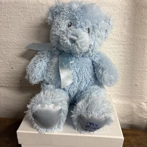 Baby Gund Plush Bear My First Teddy Blue 10" Stuffed Animal Satin Feet 021033 - Picture 1 of 12