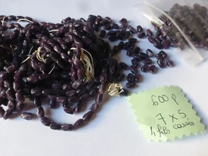lot de 600 perles anciennes en verre violet 7 x 5 mm sur fils d'origine - Imagen 1 de 3