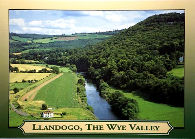 Postcard Llandogo The Wye Valley Plynlimon Builth Wells Hay Ross Chepstow Wales - Image 1 of 4