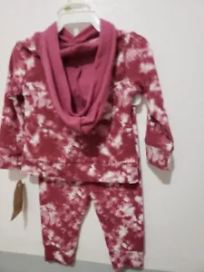Cheap Pea 0-3 Baby Girl Hoodie Pant Set - Picture 1 of 8