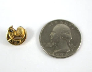 Alpha Gamma Rho Fraternity Member Pin Badge Lapel - Picture 1 of 7