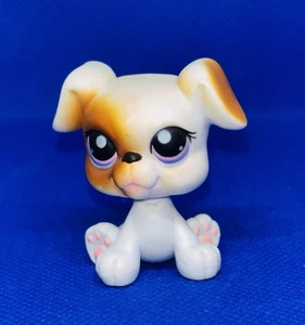 Littlest Pet Shop LPS Boxer Cachorro Perro Púrpura Punto Ojos #451 Hasbro - Imagen 1 de 5