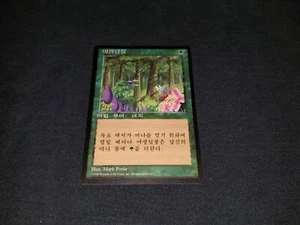 MTG 1x 4th Edition green common NM- Korean FBB Wild Growth - ships w/ tracking - Picture 1 of 2