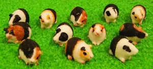 12 Assorted Guinea Pigs 12th Scale Dolls House DA015 - Picture 1 of 1