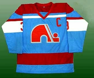 AHL QUEBEC NORDIQUES JERSEY CLASSIC RETRO UNIFORM SAKIC LAFLEUR HUNTER GOULET Cover