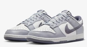 Nike Dunk Low Retro SE Light Carbon FJ4188-100 Men's 7.5 Women's 9 - Picture 1 of 8