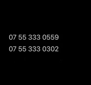 gold vip easy mobile phone number SIM card - Zdjęcie 1 z 1