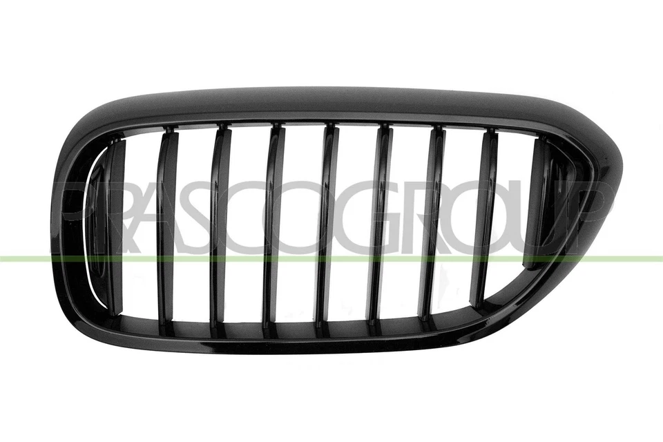 Rejilla De Radiador BM0532004 PRASCO Para BMW - Imagen 1 de 1