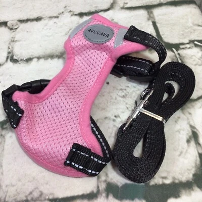 AVCCAVA Gatito Gato Mascota Arnés Correa XS Rosa Nuevo  Foto 1 de 4