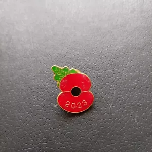 COLLECTIBLE REMEMBRANCE EMBLEM FOR YEAR 2023 - ENAMEL PIN BADGE WEAR FOR PRIDE. - Picture 1 of 1