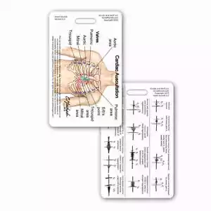 Heart Sounds & Murmur Vert Badge Reference ID Pocket Card Nurse RN MD PA APRN - Picture 1 of 1