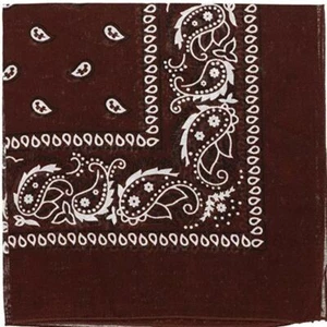 Pack of 8 X-Large Polyester Non Fading PAISLEY Bandanas 27 x 27 Inch - Party and - Picture 1 of 21