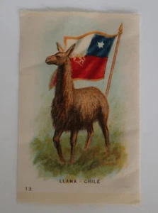 1910's Tobacco Silk Llama & Flag of Chile # 13 in Series - Imagen 1 de 4