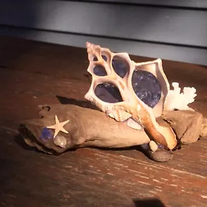 Cut Shell With Pale Blue Stained Glass On Genuine Driftwood - Picture 1 of 5