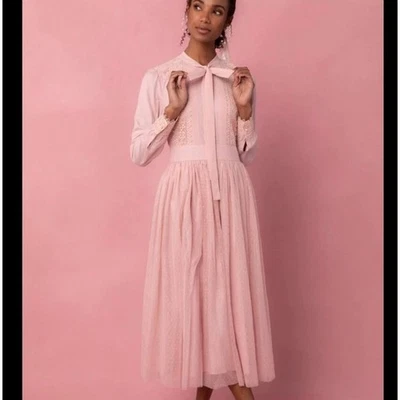 Vestido Ivy City Co Kate rosa renda bordado tamanho 1x NOVO com etiquetas - Imagem 1 de 4