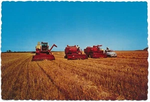 Saskatchewan Wheat Harvest International Combine Massey 510 praderas canadienses SK - Imagen 1 de 2