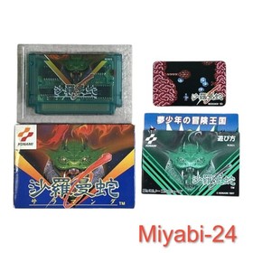 Rare Salamander Game Famicom Cartridge with Box Manual Card Excellent Condition